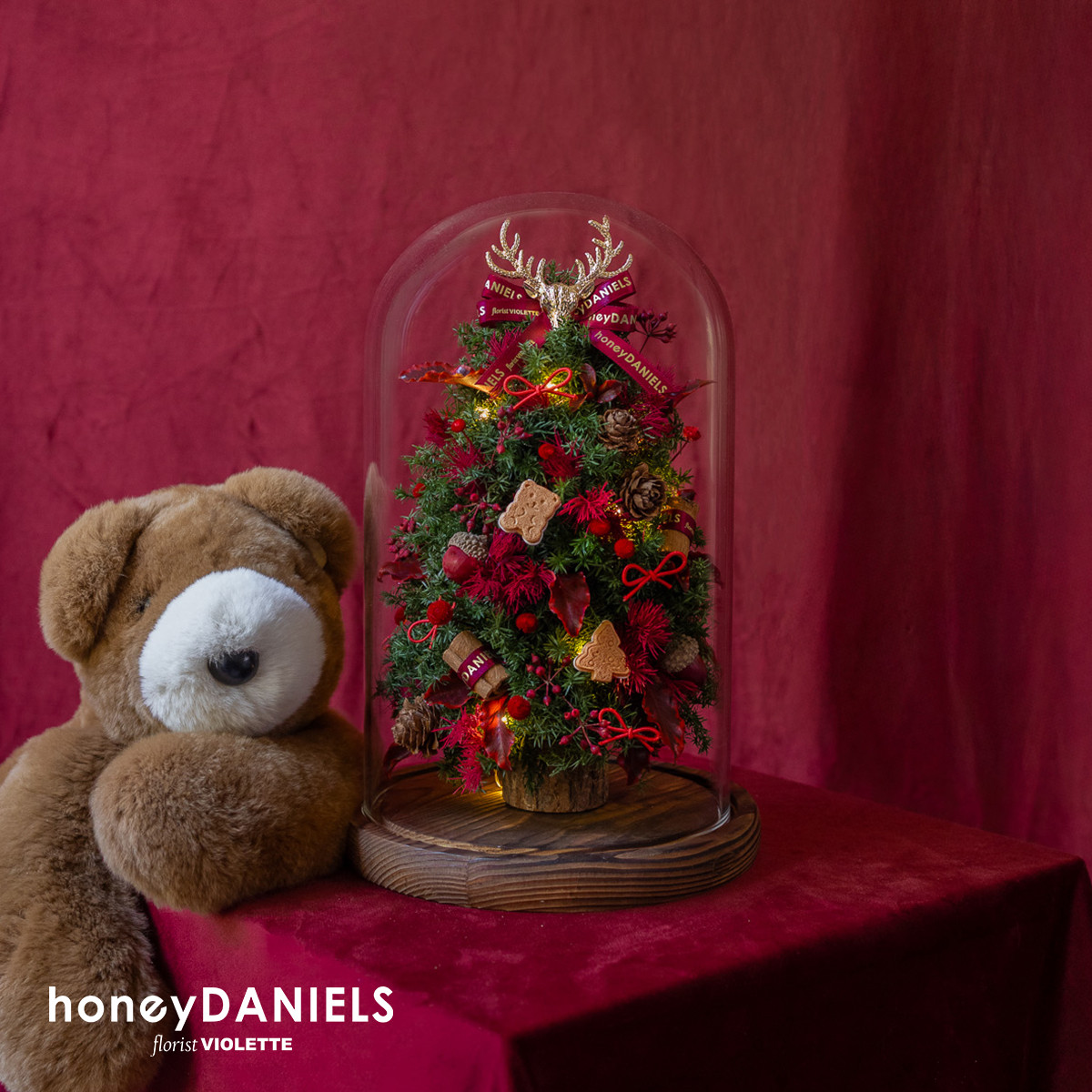 星願紅・恆星鍾罩聖誕樹【 12/10依序出貨 】