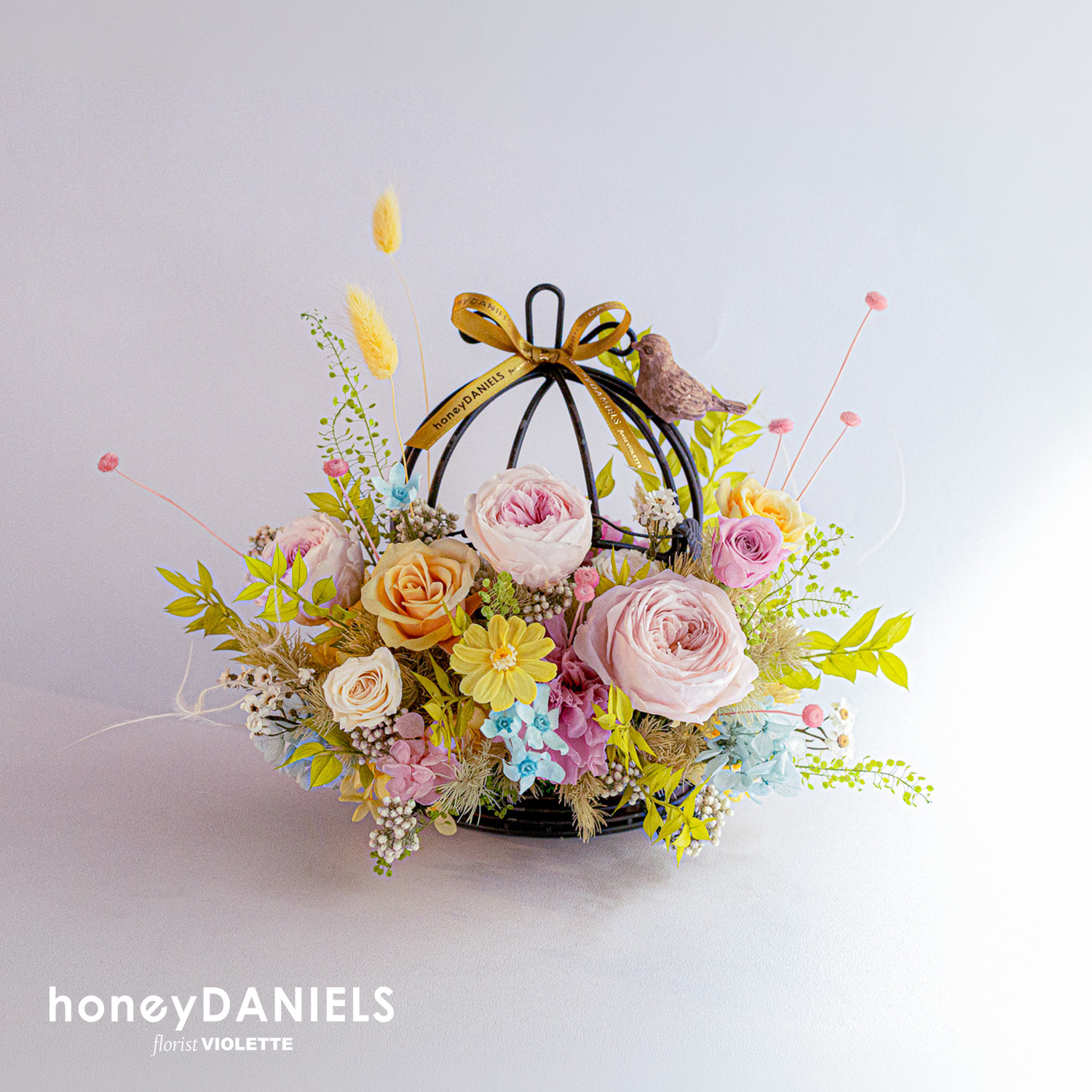 春遊 鳥籠恆星花