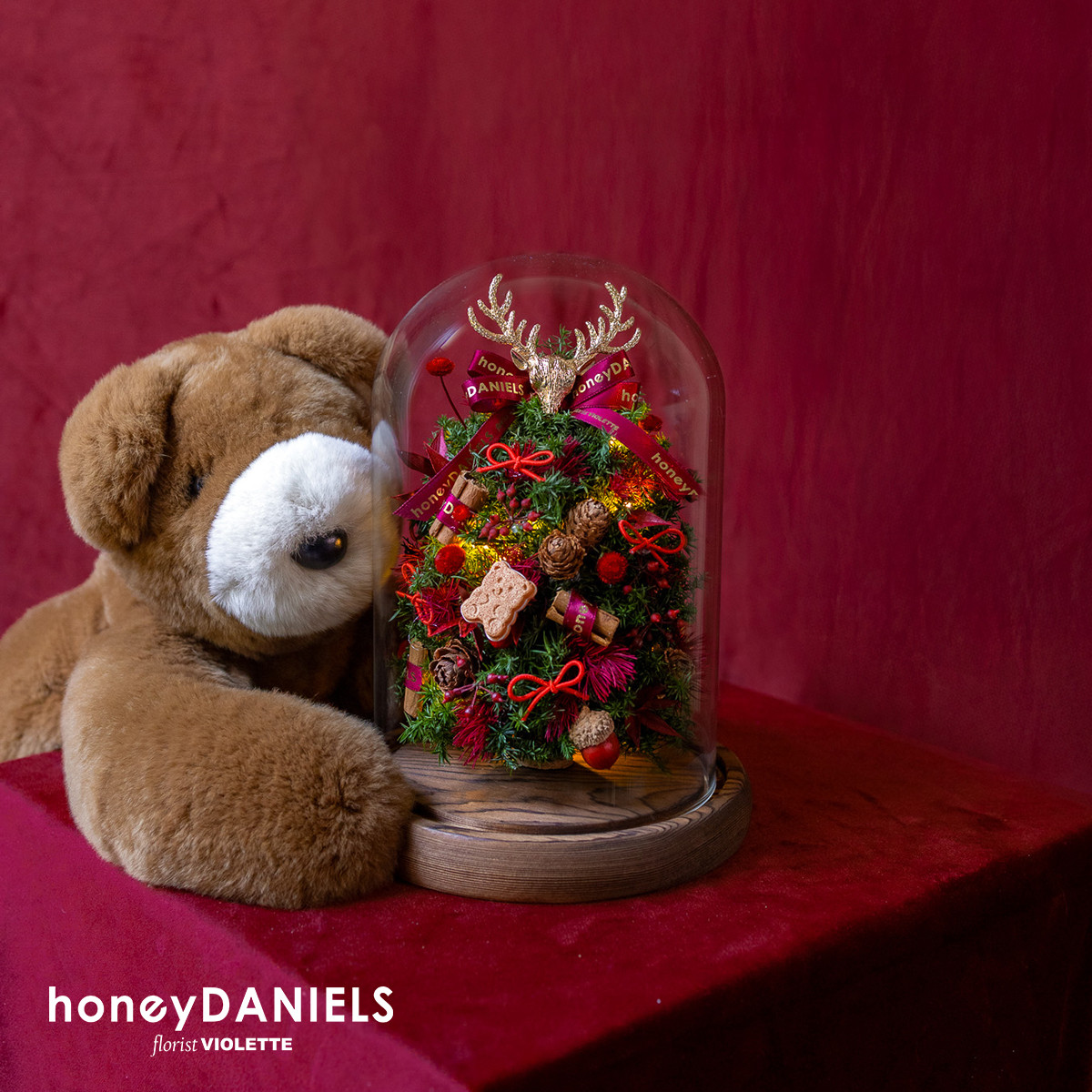 星願紅・恆星小鍾罩聖誕樹【 12/10依序出貨 】