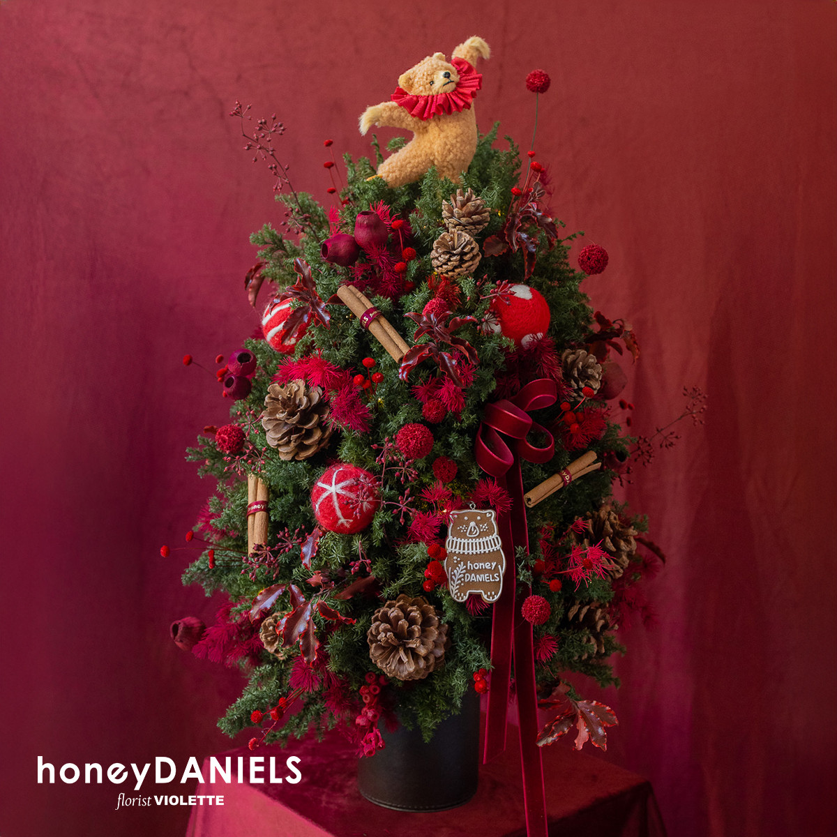 星願紅・恆星聖誕樹【 12/10依序出貨 】