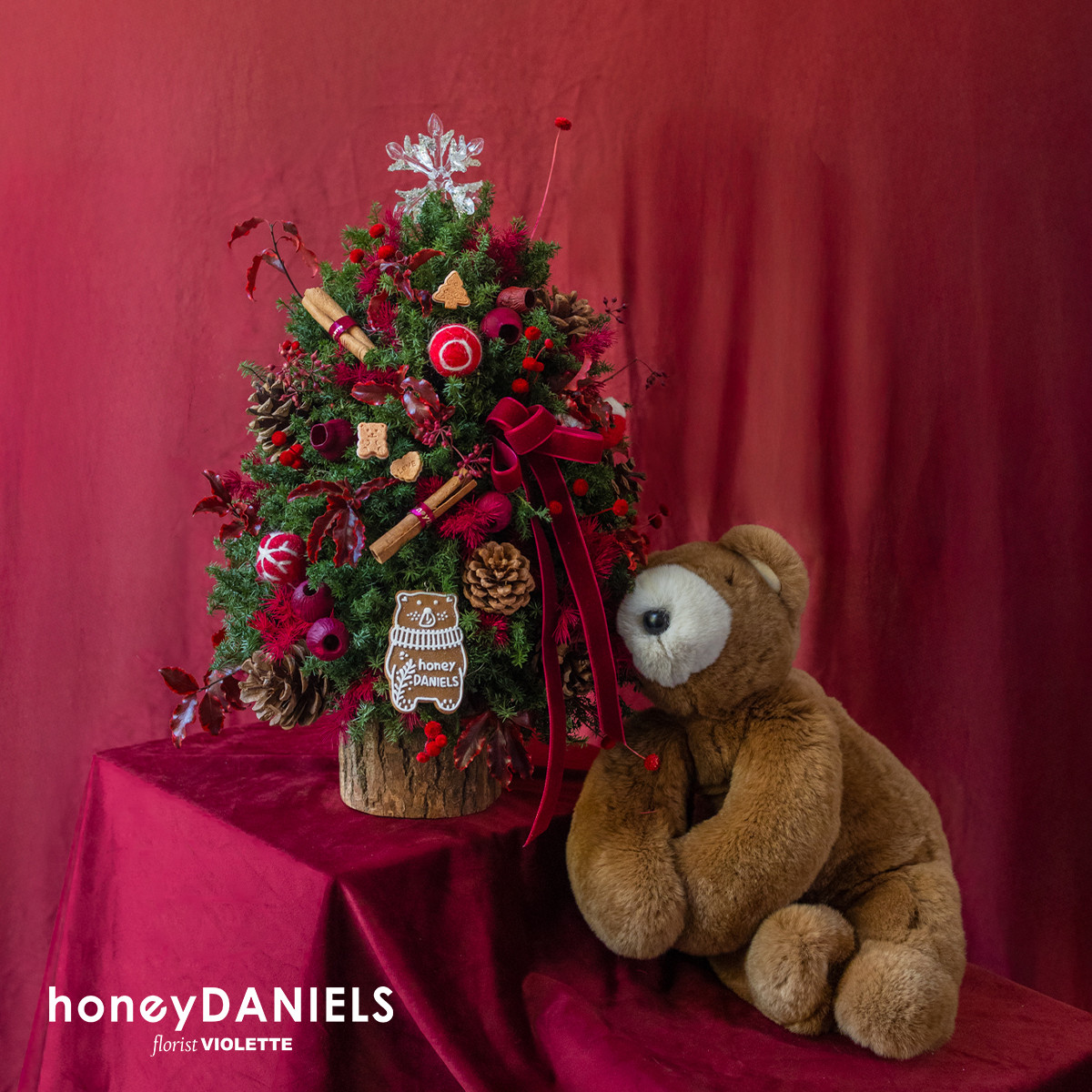 星願紅・恆星聖誕小樹【 12/10依序出貨 】