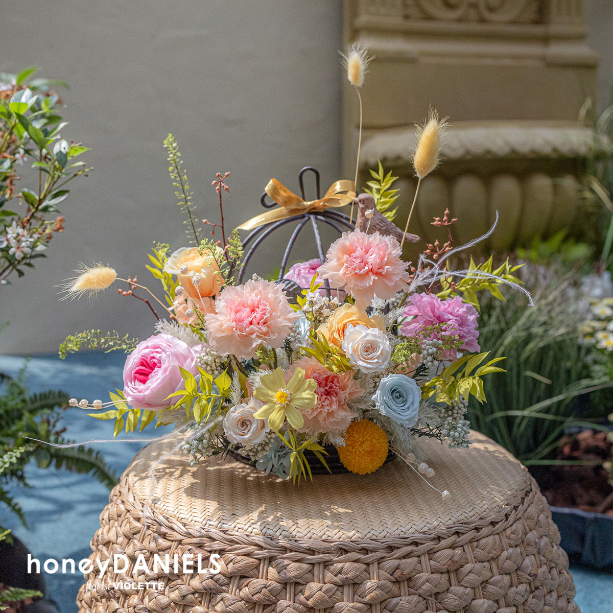 托斯卡尼 Tuscany 恆星花【 4.24後依序出貨 】