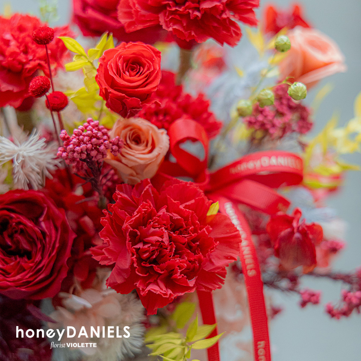 賽維亞之庭 Sevilla Palacio 恆星花【 4.28後依序出貨 】